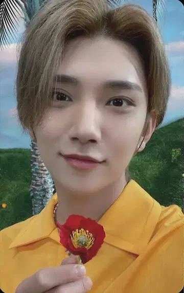 SEVENTEEN WeverseJapan JOSHUA SECTOR17