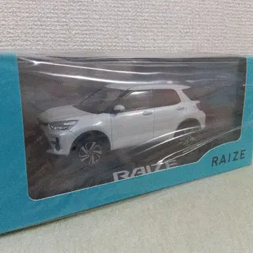 토요타 레이즈 미니카
