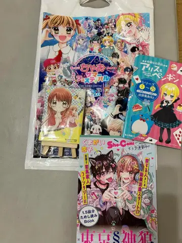 최고급!! 인기 만점 학생회장의 미니 캔버스 새 제품, 가방 포함.