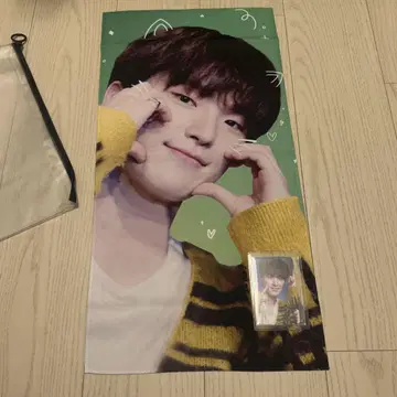 디노 슬로건