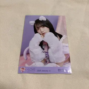 노구치 이오리 고양이 의상