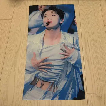 디노 슬로건