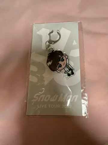 스노치루 키홀더 SnowMan 아베 료헤이