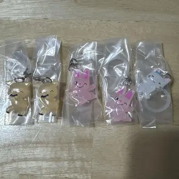 논탄 메지루시 액세서리