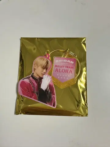 초특급 아로하 2025 에비라이 EBiDAN 액키