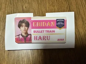 에비라이 2025 초특급 할 네임 배지 EBiDAN THE LIVE
