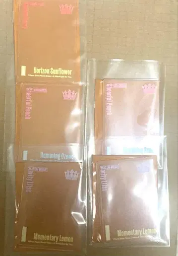 오토야&쇼&아이 우타프리 그라쇼 카드 로더