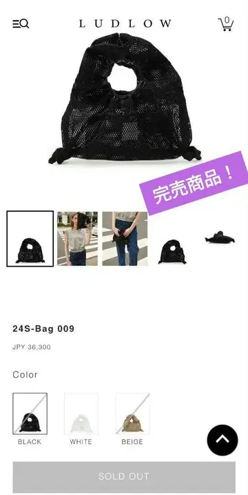 라드루 메쉬 백