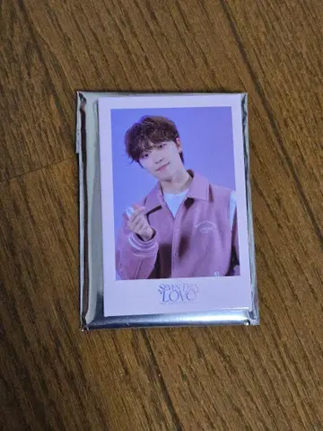 SEVENTEEN LOVE 디노