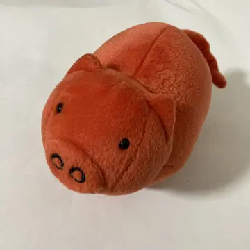 미피 돼지 세키구치