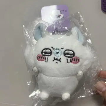 치이카와 PUN. 마스코트 (모몬가)