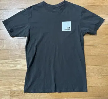 THE NORTH FACE STANDARD 박스 로고 T셔츠