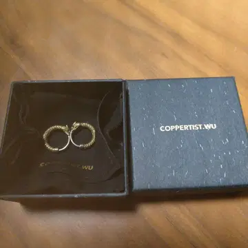coppertist.wu 드래곤 귀걸이 silver985 각인 있음