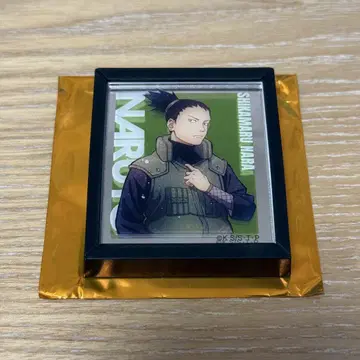 나루토 나라 시카마루 시카마루 베이스 야드 도쿄