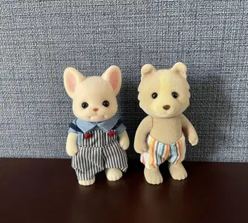 실바니아 마론 강아지 프랑스 불독 아빠