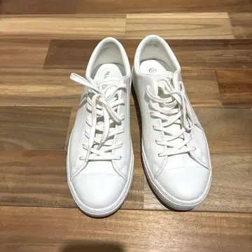 컨버스 올스타 가죽 화이트