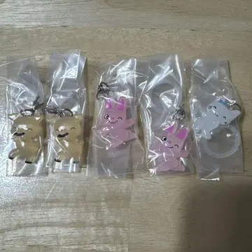 논탄 기념 액세서리