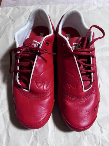 PUMA 페라리 신발 23cm