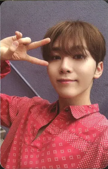 SEVENTEEN 승관 [Heng:garae] HANA ver.