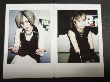 DIAURA 요카 쇼야 체키 세트