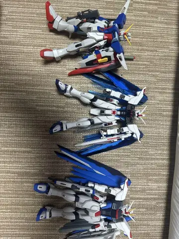 MG 1/100 프리덤 건담 데스티니 건담