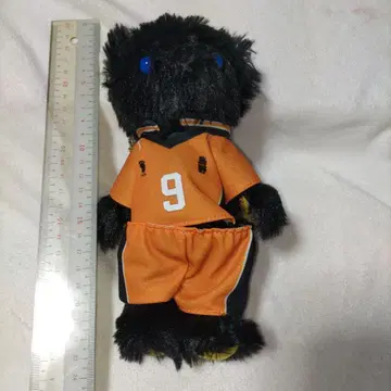 이미지 베어 우노 고등학교