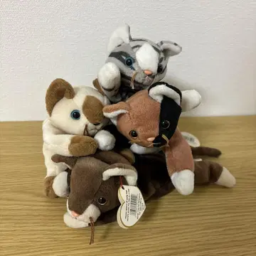 ty 비니베이비즈 봉제 인형 고양이 4마리