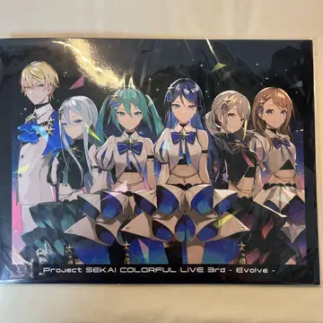 프로세카 티켓 스타일 카드 세트