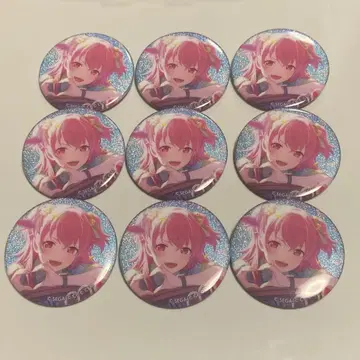 프로세카 아이리