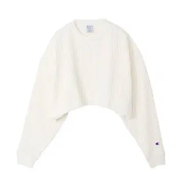 Ameri Vintage x Champion 크롭 기모 상의