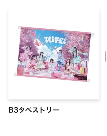 iLIFE! 온라인 복권 B상 타페스트리