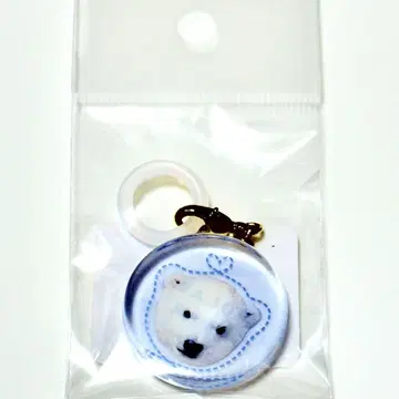 주라시아 북극곰 라이군 참