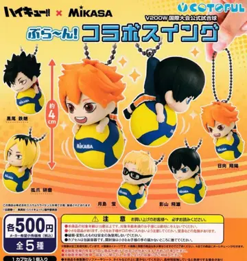 하이큐!! x MIKASA 부란! 콜라보 스윙 전5종 세트