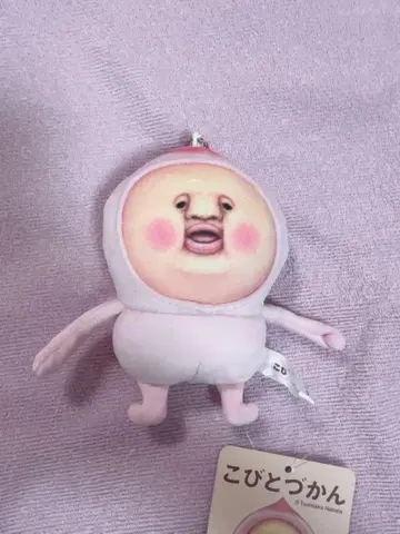 코비토 도감 카쿠레 모모지리  BC