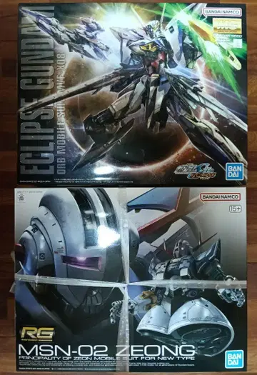 Eclipse Gundam & MSN-02 Zeong RG 1/144