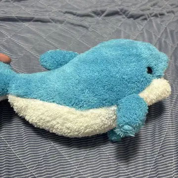 바다 달걀 돌고래 인형