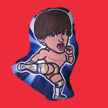 이부시 코타 쿠션
