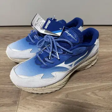 MIZUNO WAVE RIDER B HIROSHI NAGAI 26cm