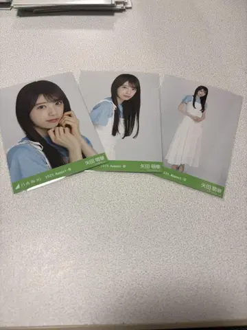 야다 모에카 셔링 원피스 후쿠오카 공연