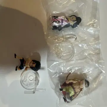 원피스 열매 흰 수염 해적단 세트