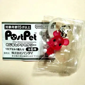 모모B 엽서 펫 메지루시 액세서리 테디베어 곰