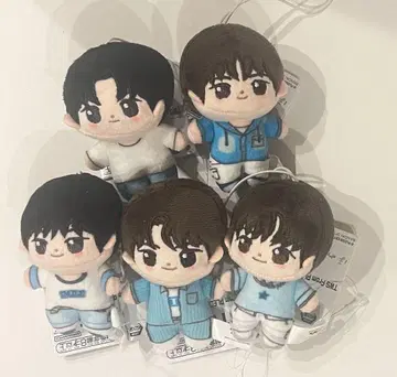 TWS 호와누이 5종 세트