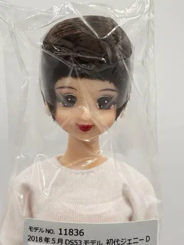 초대 제니 DS53 모델 블랙 헤어 리카짱 캐슬 리틀 팩토리