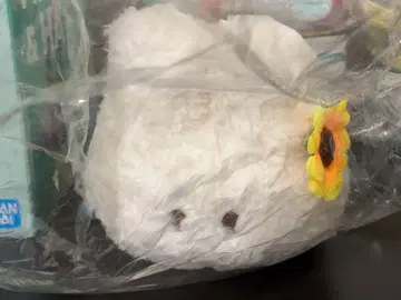모쿠모쿠짱 해바라기 봉제 인형
