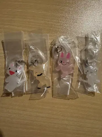 논탄 기념품 액세서리