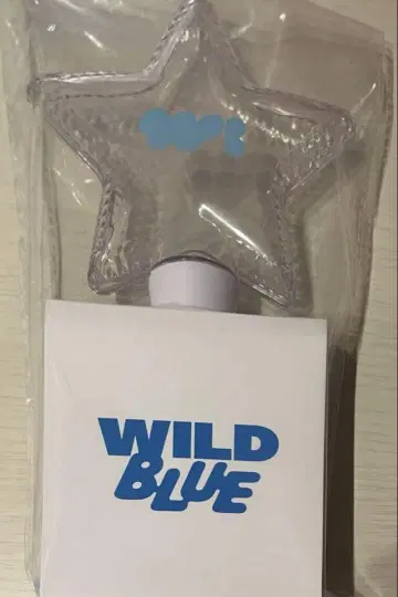 WILDBLUE 응원봉
