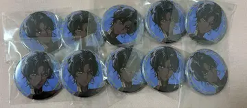 FGO 영기소환 캔뱃지 아르주나 10개