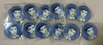FGO 영기소환 캔뱃지 홈즈 12점