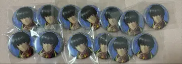 FGO 영기소환 캔뱃지 아라쉬 13점