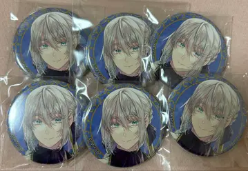 FGO 영기 소환 캔 배지 베디비에르 6개